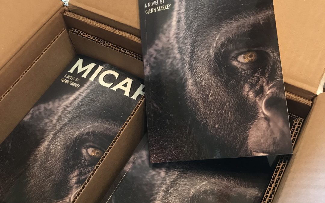 MICAH – Just Released!